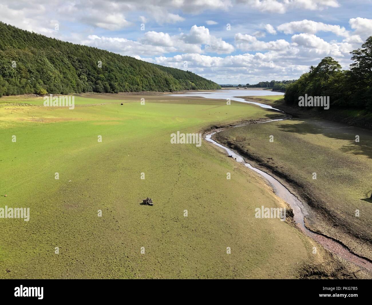 Leeds, Yorkshire Regno Unito. 13 Sett 2018. I livelli di acqua rimangono bassi a Lindley serbatoio nell'Washubrn Valley, al di fuori di Leeds e Bradford conurbazioni dopo un record di caldo estivo. Lindley è solo uno di una stringa di serbatoi in Washburn valle di alimentazione di acqua per le grandi città nella zona. credito David Hickes/Alamy Live News. Foto Stock Leeds, Yorkshire Regno Unito. 13 Sett 2018. I livelli di acqua rimangono bassi a Lindley serbatoio nell'Washubrn Valley, al di fuori di Leeds e Bradford conurbazioni dopo un record di caldo estivo. Lindley è solo uno di una stringa di serbatoi in Washburn valle di alimentazione di acqua per le grandi città nella zona. credito David Hickes/Alamy Live News. Foto Stock