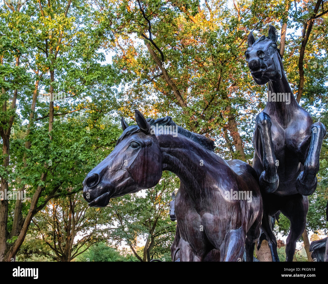 Berlino,Dahlem. La scultura in bronzo di cinque cavalli selvaggi saltando resti del muro di Berlino. Regalo da STATI UNITI D'AMERICA PER FDR commemora il giorno in cui il muro è caduto. Foto Stock