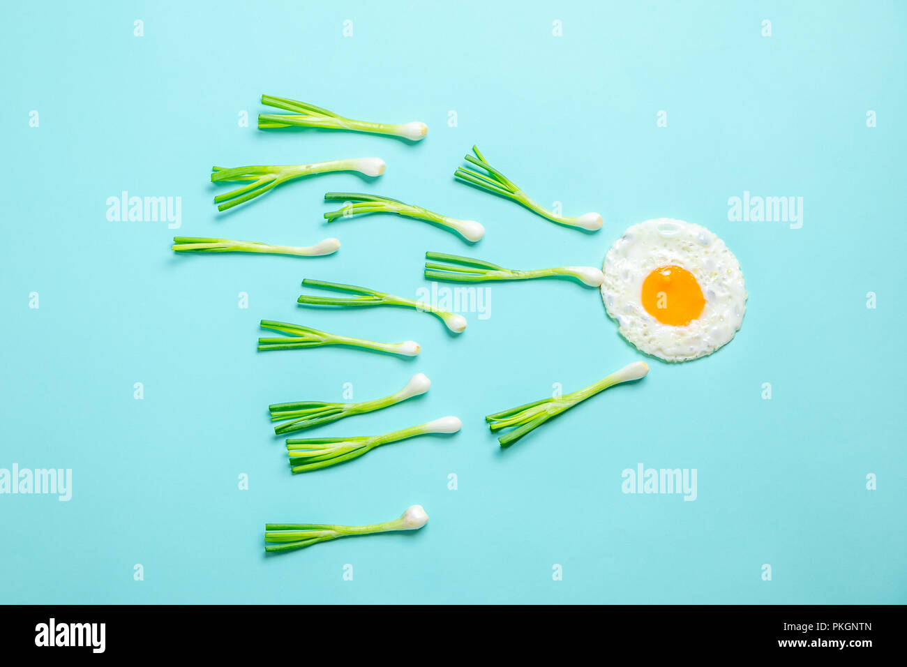 Uovo fritto e lo scalogno, la fertilizzazione Foto Stock