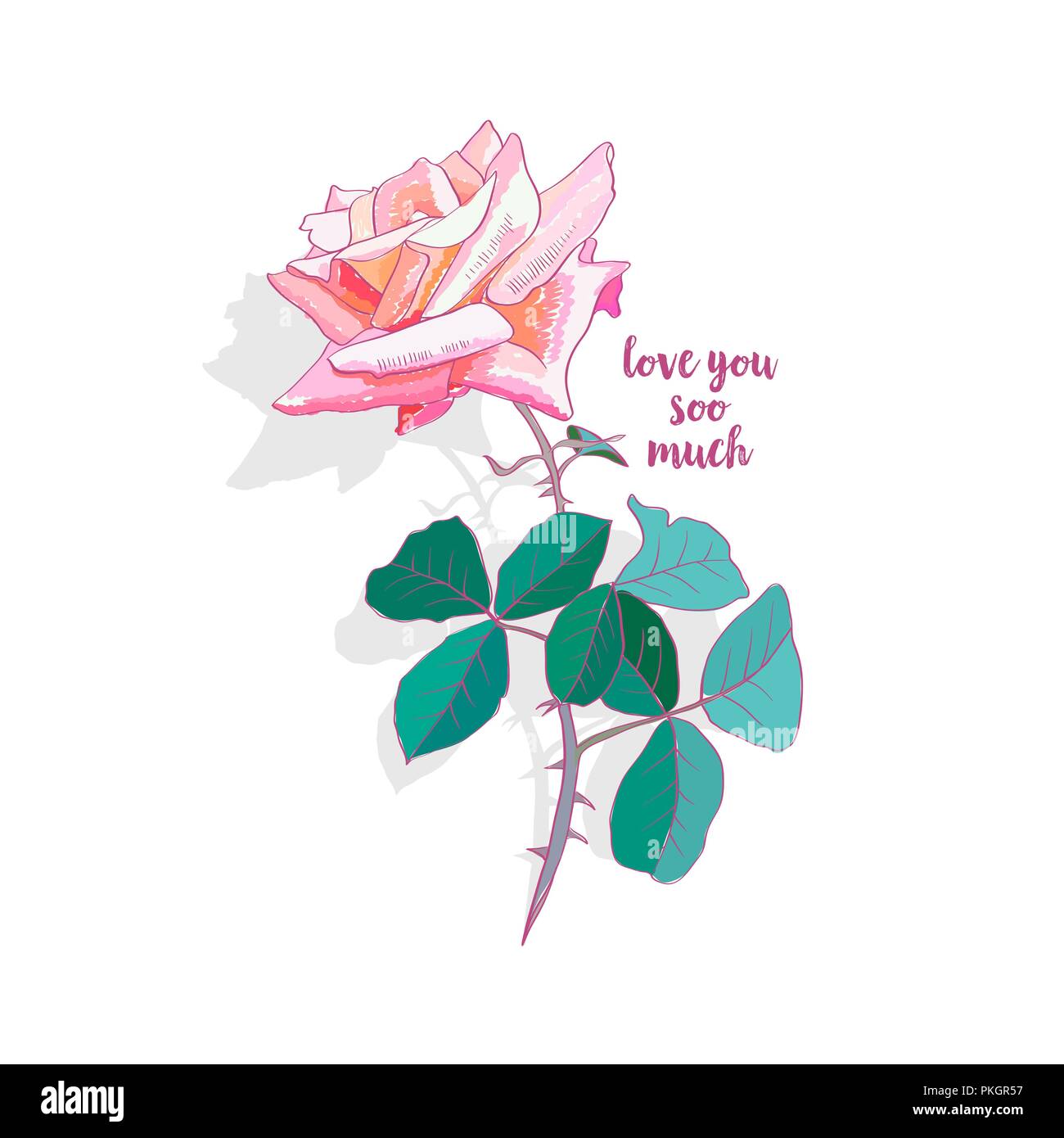 Rosa rosa acquerello illustrazione. Ti amo soo molto calligraphy. Rosa rosa con spine e foglie. Giardino fiorito . Il giorno di San Valentino. Biglietto di auguri, cartolina, cover design floreale. Isolate il vettore del colore Illustrazione Vettoriale