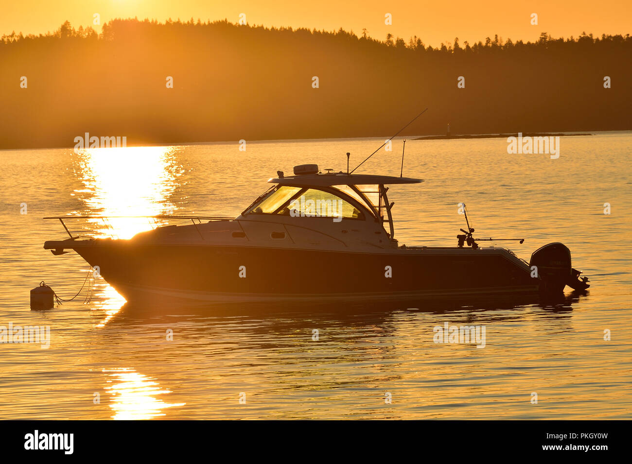 Una barca a motore ormeggiata ad un bouey, retroilluminati da rhe la luce di un sole che sorge sullo Stretto di Georgia vicino a Vancouver Island British Columbia Canada. Foto Stock
