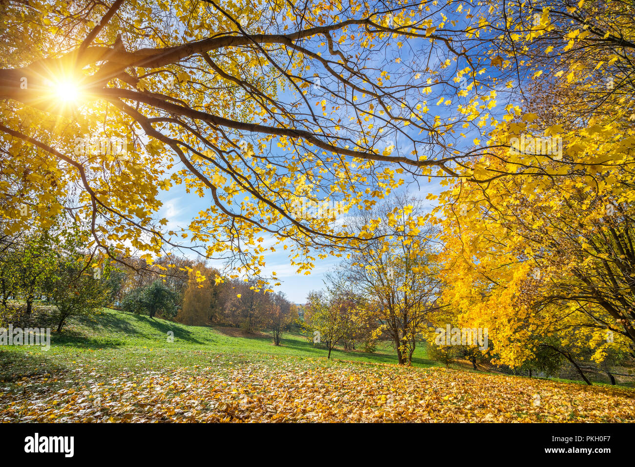 Sunny autunno in campagna Foto Stock Sunny autunno in campagna Foto Stock