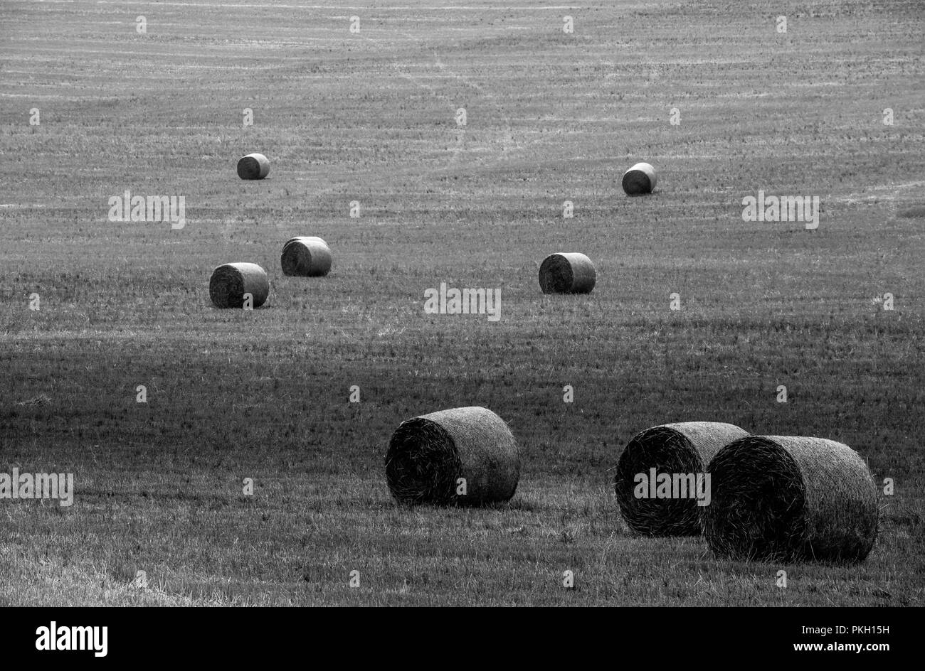 Campo raccolte con le balle di paglia nella Boemia centrale Foto Stock