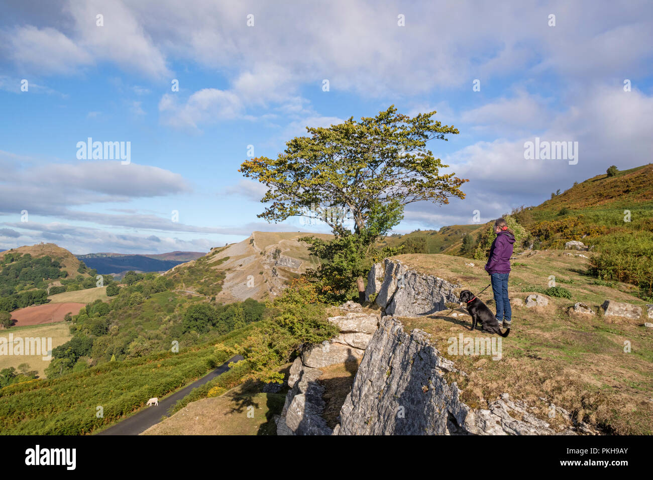 Le scogliere calcaree della scarpata Eglwyseg sopra la Vale of Llangollen, Wales, Regno Unito Foto Stock