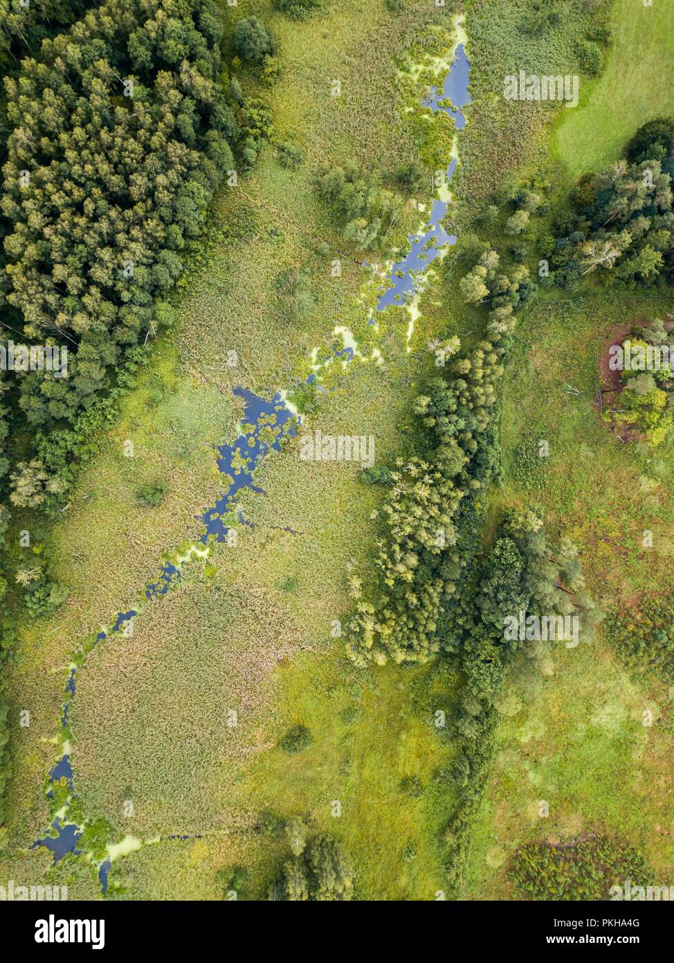 Bella e verde paesaggio drone con piccolo fiume selvaggio nella foresta. Paesaggio polacco. Foto Stock