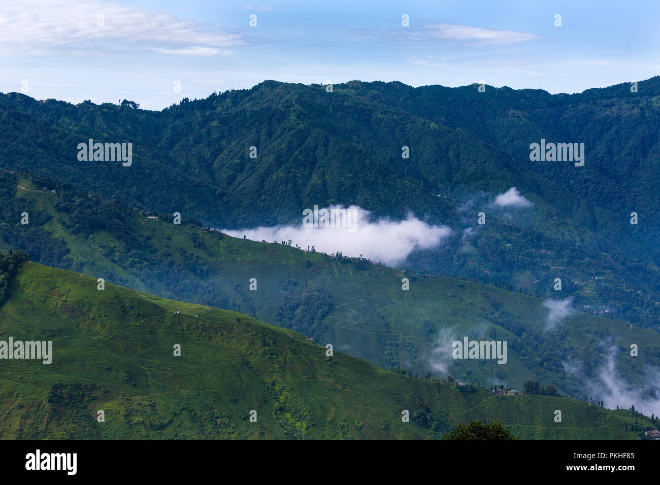 Darjeeling Himalaya durante il monsone nel Bengala occidentale, India Foto Stock