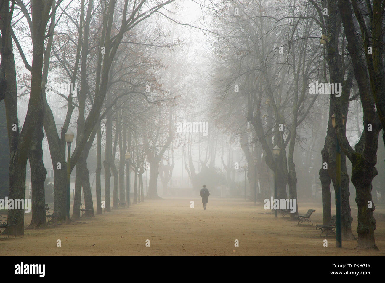 Un giorno di nebbia nel giardino pubblico di Chaves. Trás-os-Montes, Portogallo Foto Stock