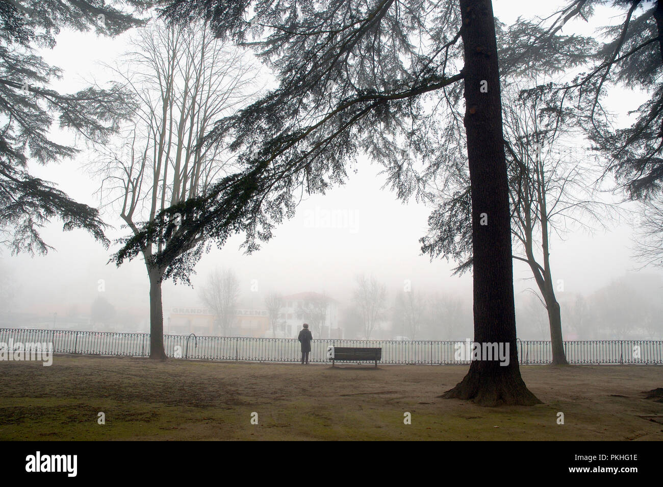 Un giorno di nebbia nel giardino pubblico di Chaves. Trás-os-Montes, Portogallo Foto Stock