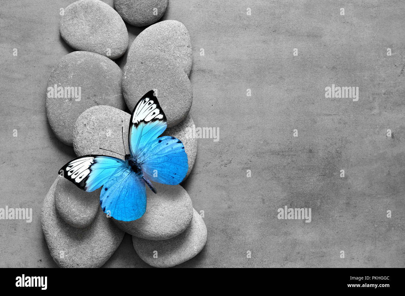 Concetto di Spa con butterfly zen e pietre. Vista dall'alto. Foto Stock