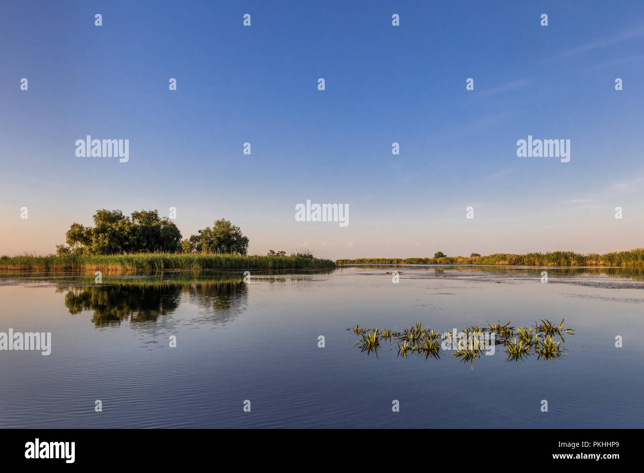 Paesaggio nel Delta del Danubio, Romania, Europa Foto Stock