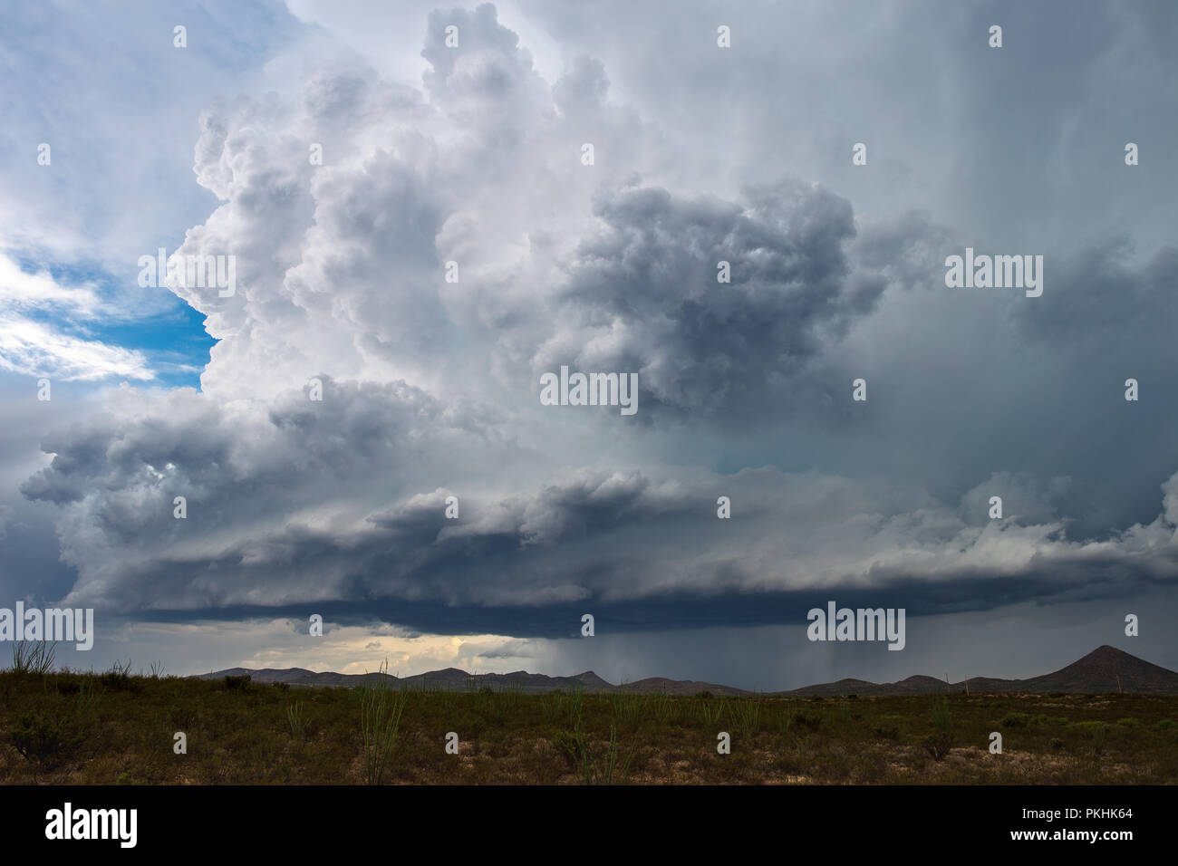 Una nube di cumulonimbus di tempesta di supercellule in Arizona Foto Stock