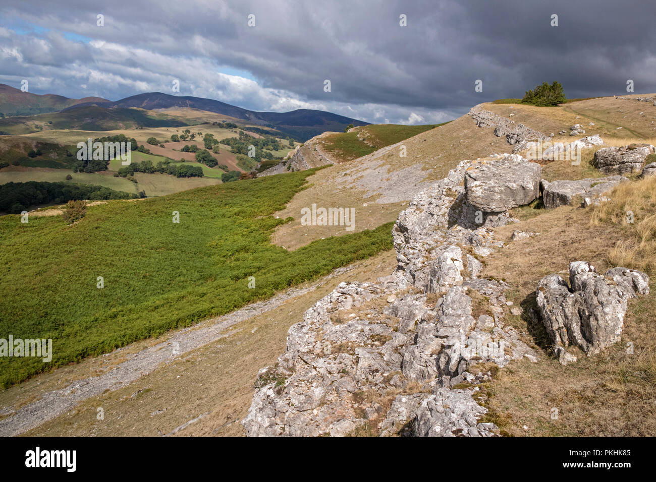 Le scogliere calcaree della scarpata Eglwyseg sopra la Vale of Llangollen, Wales, Regno Unito Foto Stock