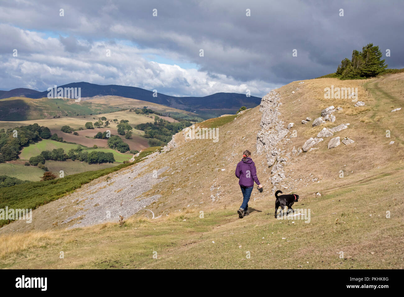Passeggiate in collina su falesie calcaree di Eglwyseg scarpata al di sopra della Vale of Llangollen, Wales, Regno Unito Foto Stock