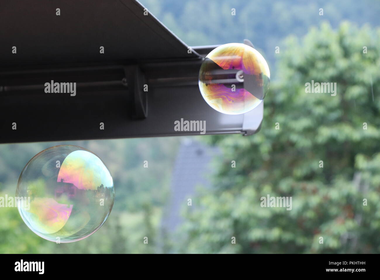 Una bella due bolle in diversi colori della bolla creata fiore. Sullo sfondo vi è il tetto e foresta. Uno è verde e viola, seconda viola Foto Stock