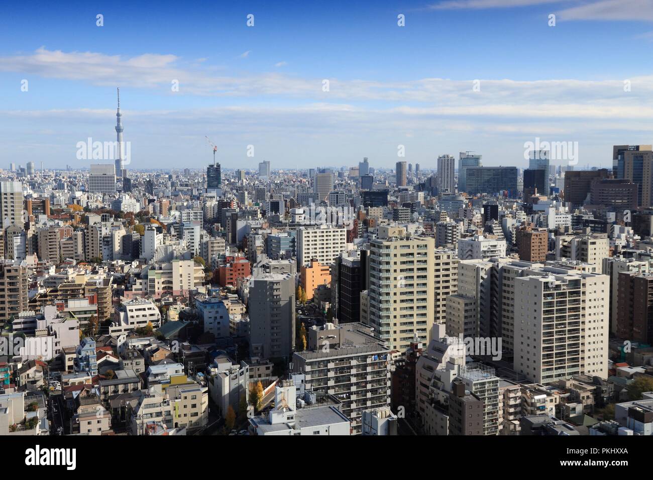 Lo skyline di Tokyo vista - paesaggio urbano in Giappone. Bunkyo Ward. Foto Stock
