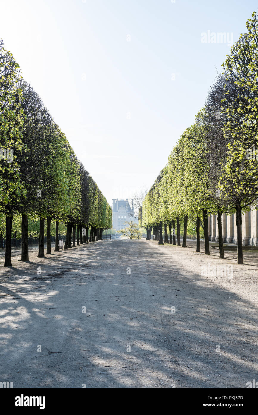 Jardin des Tuileries al mattino presto Foto Stock