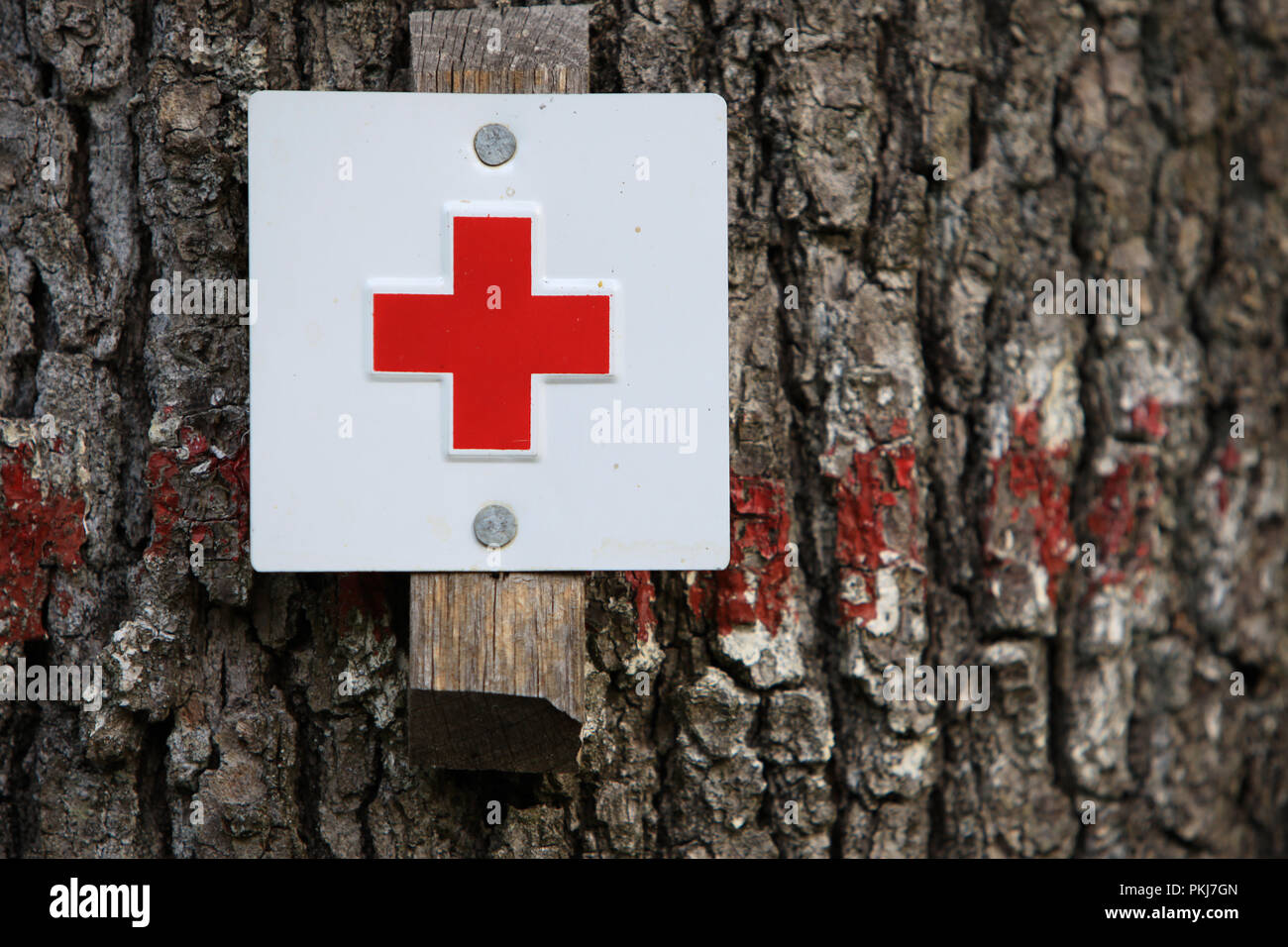 Un piccolo segno con una croce rossa su sfondo bianco fissato a un albero Foto Stock