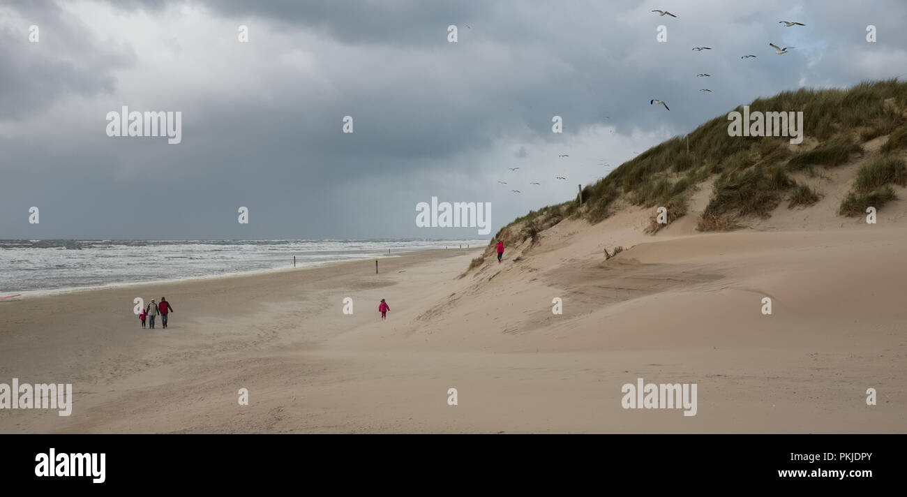 Giorno nuvoloso su quasi deserta spiaggia, sabato 14 maggio 2016, Texel, Paesi Bassi. Foto Stock
