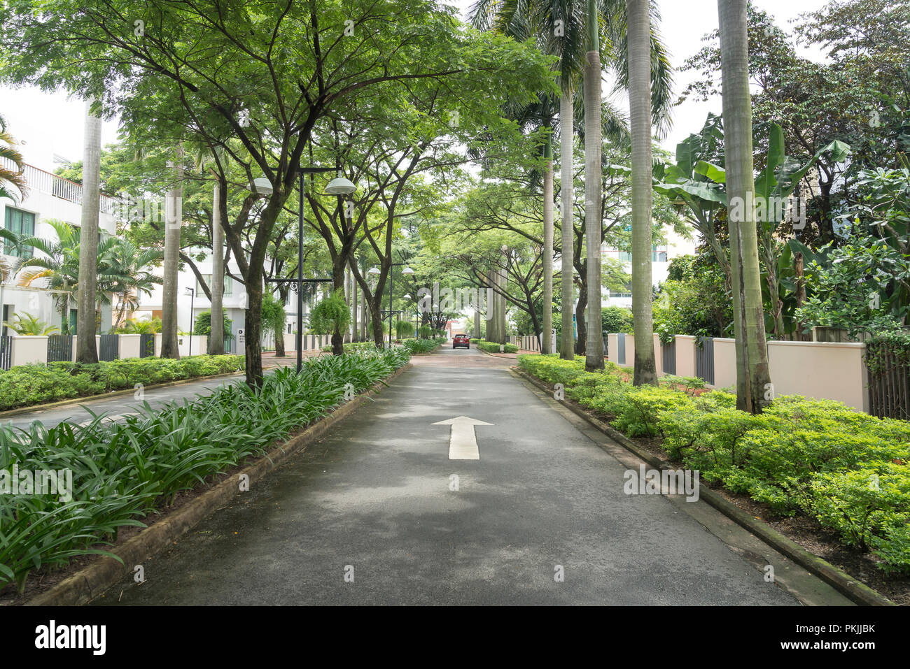 La strada con due filari di alberi in un area villa vicino fiume SAIGON in Ho Chi Minh City, Vietnam Foto Stock