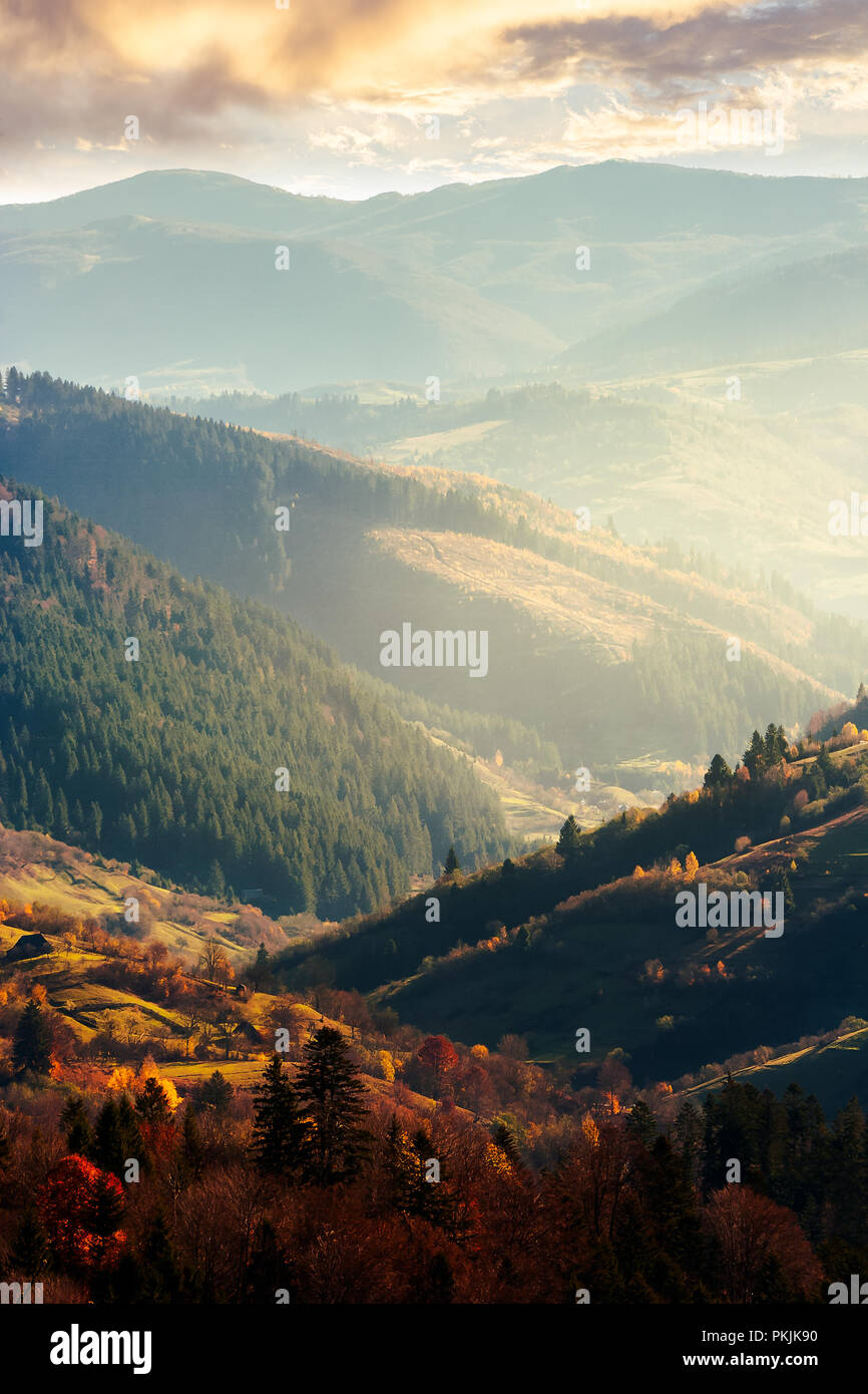 Bel pomeriggio in montagna. incantevole autunno meteo. bosco più vicino in foglie colorate. distante in montagna haze verticale. Foto Stock