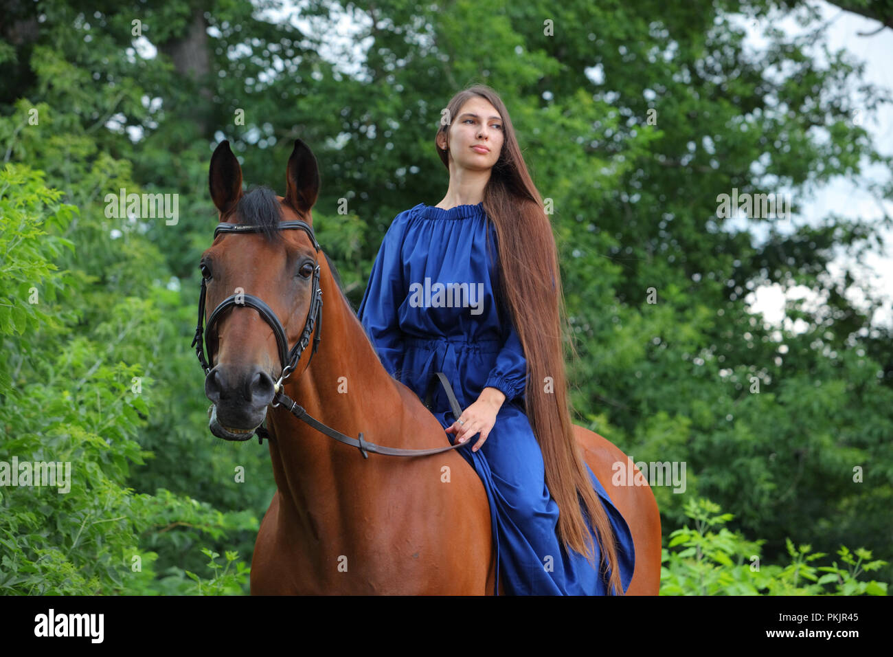 Una con i capelli lunghi ragazza in vestito blu è riding bareback horse Foto Stock