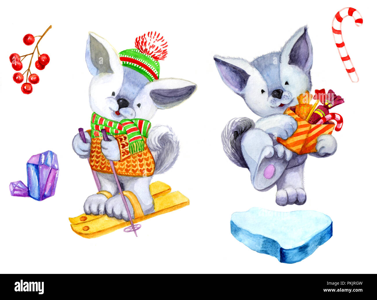 Natale clip art di acquerelli. Impostare il simbolo anno cane, hat sugli sci, con presenta. Floe, ceneri di montagna su un ramo.Pattern per Natale design Foto Stock