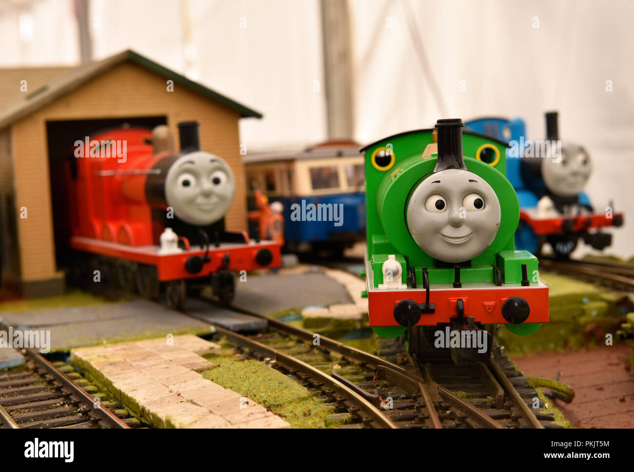 Thomas Il serbatoio del motore con gli amici James & Percy nella parte posteriore in corrispondenza di un fine settimana i modelli di evento, Liphook, Hampshire, Regno Unito. Il 2 settembre 2018. Foto Stock Thomas Il serbatoio del motore con gli amici James & Percy nella parte posteriore in corrispondenza di un fine settimana i modelli di evento, Liphook, Hampshire, Regno Unito. Il 2 settembre 2018. Foto Stock