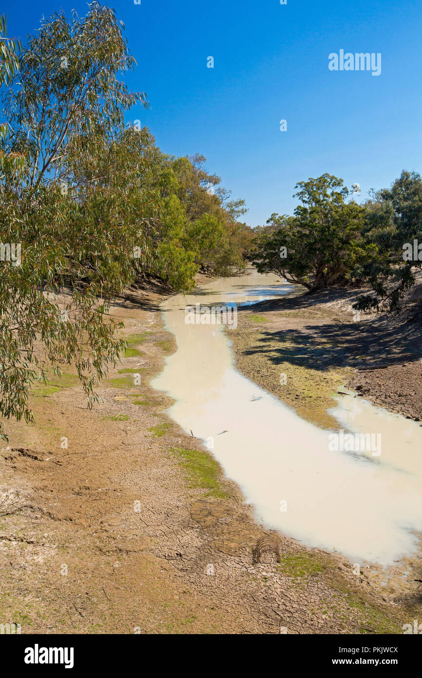 Fiume Culgoa, semplicemente una pozza di fango durante la siccità, orlati con alberi di alto fusto, affettare attraverso arido entroterra australiano il paesaggio è sotto il cielo blu nel NSW Foto Stock