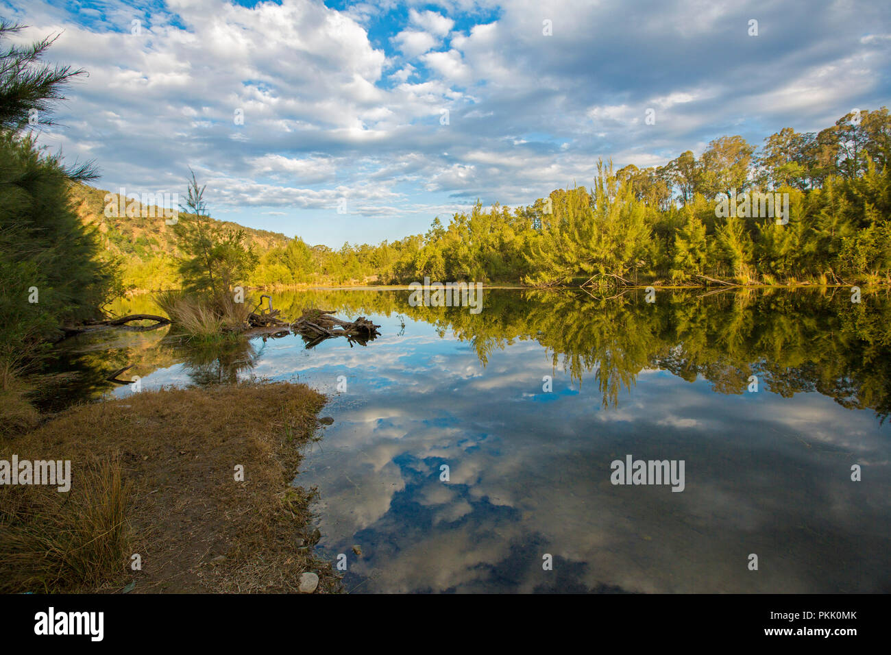 Paesaggio australiano con la foresta e il cielo blu intonacato con nuvole riflettono in perfetta superficie a specchio di Macleay fiume nel NSW Foto Stock