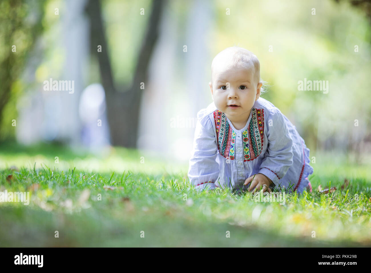 Carino Baby girl strisciando sul prato nel parco e guardando la fotocamera Foto Stock