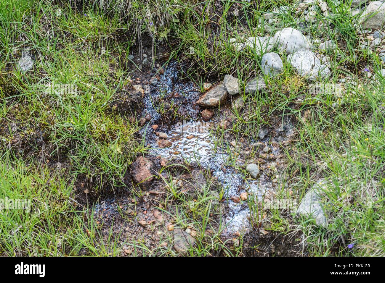 Bio film da accumulo di microrganismi sulla superficie dell'acqua, Austria Foto Stock