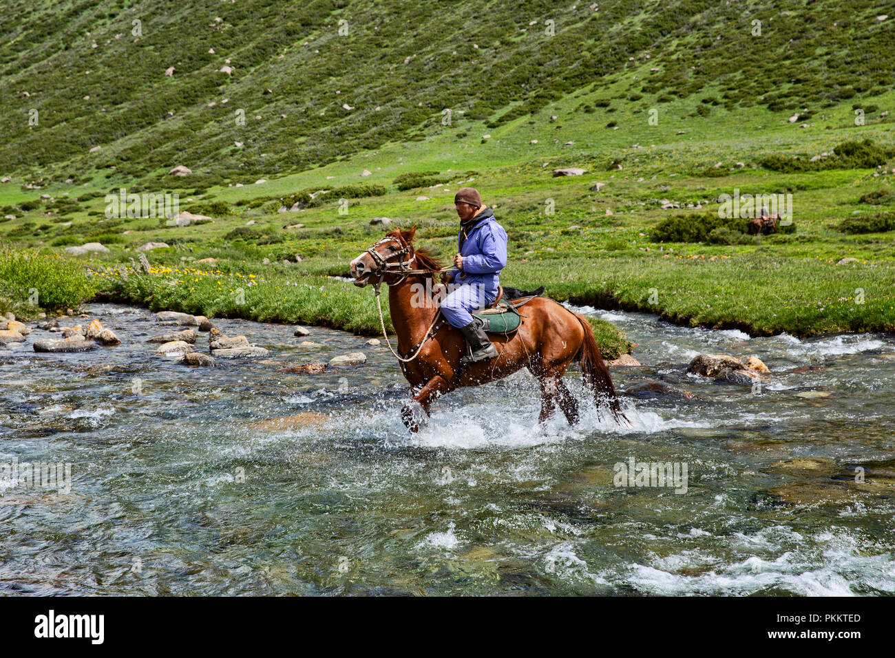 Cavaliere del Kirghizistan attraversa Tup River, Loop Keskenkyia trek, Jyrgalan, Kirghizistan Foto Stock