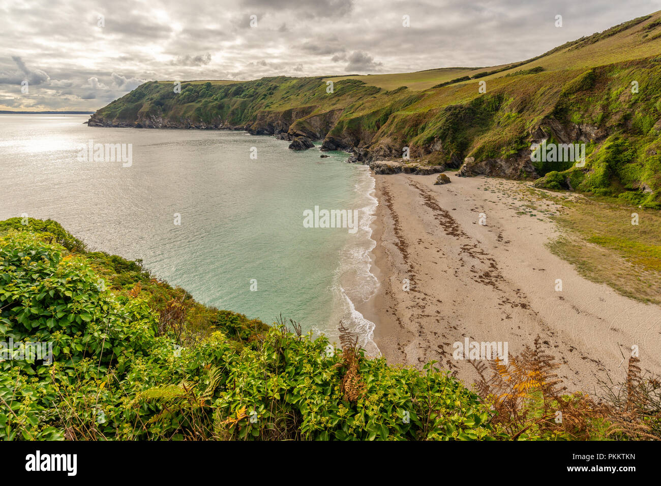 Affacciato sulla spiaggia per il ripido sentiero verso il basso, Lantic Bay, Cornwall, England, Regno Unito Foto Stock