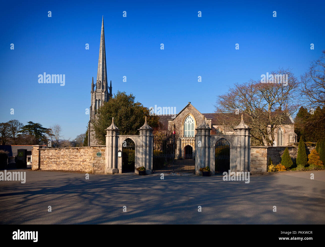 Cancelli di ingresso a San Cartagine, una chiesa del XVII secolo di Irlanda nella cattedrale di Lismore, nella contea di Waterford. L'Irlanda. Foto Stock