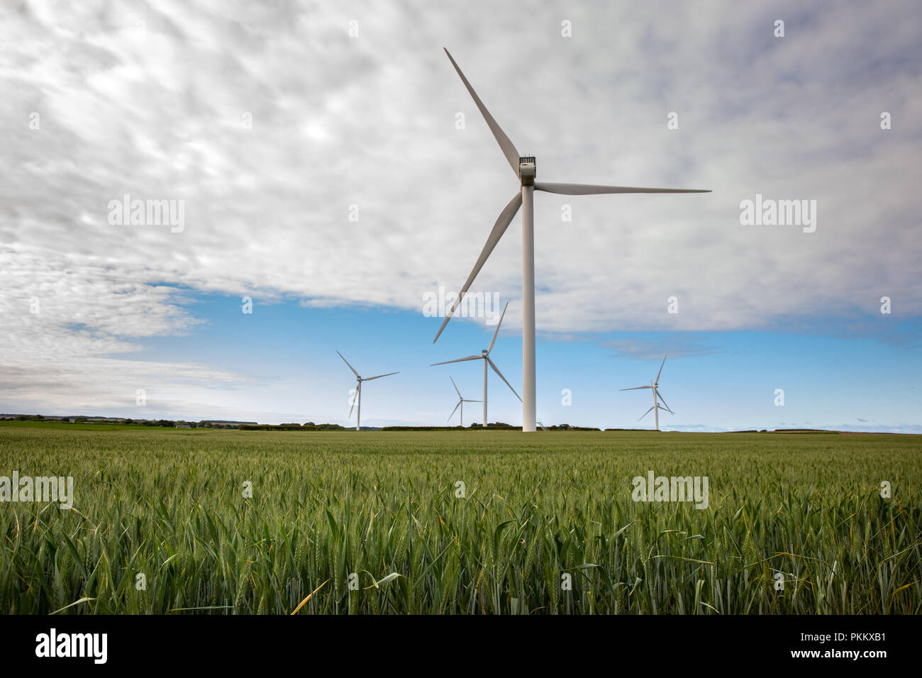 Turbine eoliche Foto Stock