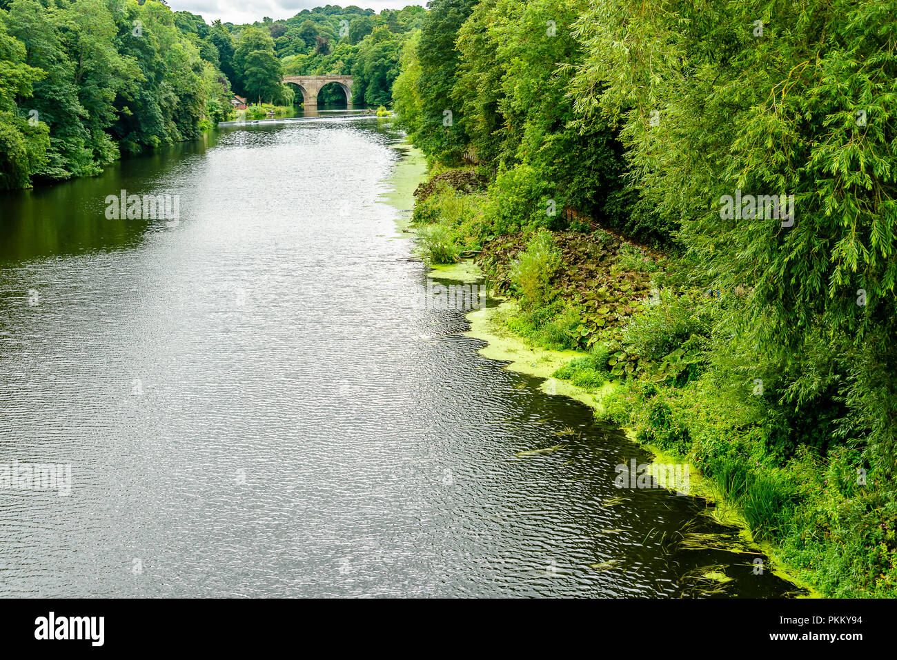 Vista dalla valle di Prebends Bridge, uno dei tre-pietra ponti ad arco in Durham, Regno Unito Foto Stock