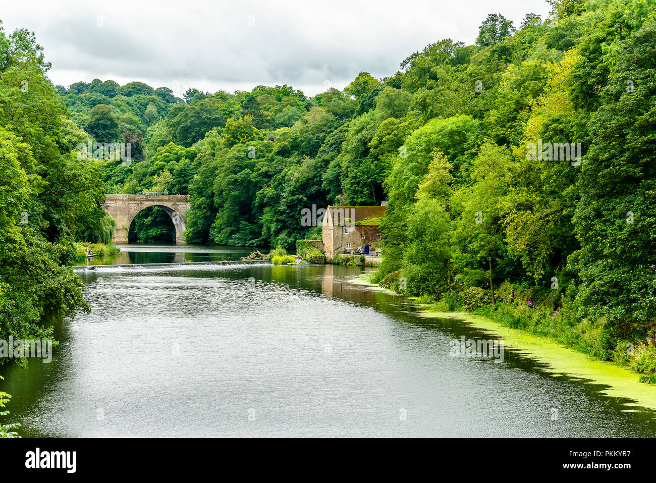 Vista dalla valle di Prebends Bridge, uno dei tre-pietra ponti ad arco in Durham, Regno Unito Foto Stock