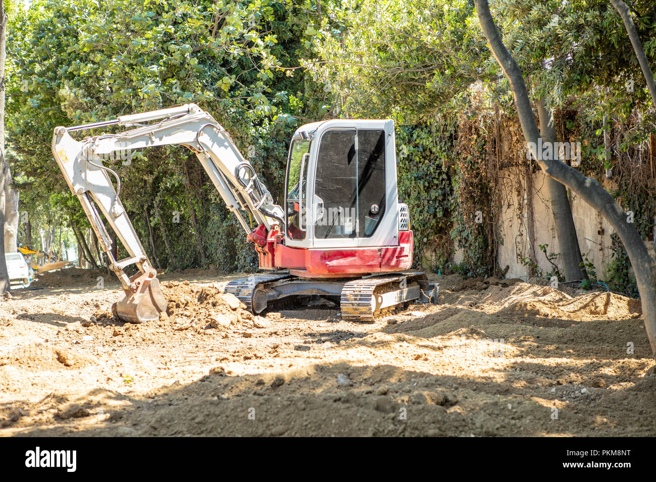 Escavatore, cucchiaio rovescio lavorare sul suolo per cancellare l'area Accanto gli alberi per il nuovo edificio del parco Foto Stock