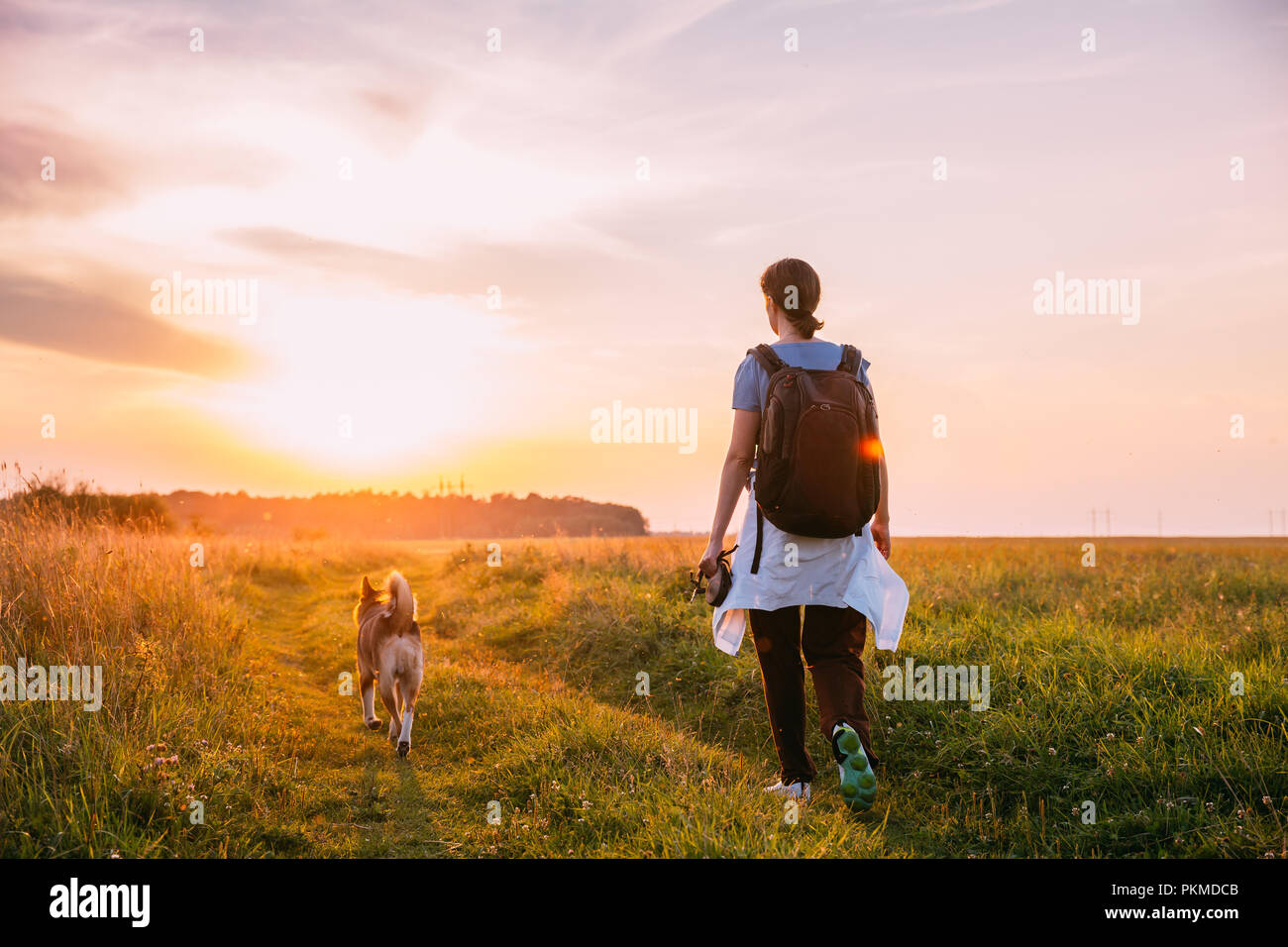Giovane donna Backpacker passeggiate con il cane in estate erba di prato durante il tramonto Sunrise tempo. Uno stile di vita sano passeggiate serali in estate la luce del sole. Foto Stock