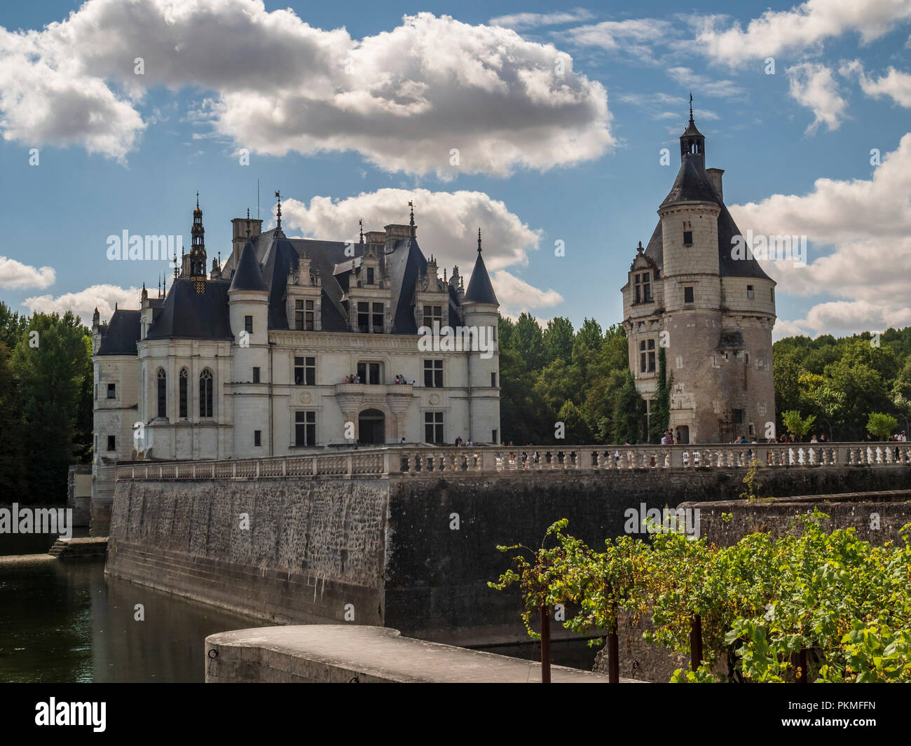 Castello di Chenonceaux nella Valle della Loira, Francia Foto Stock