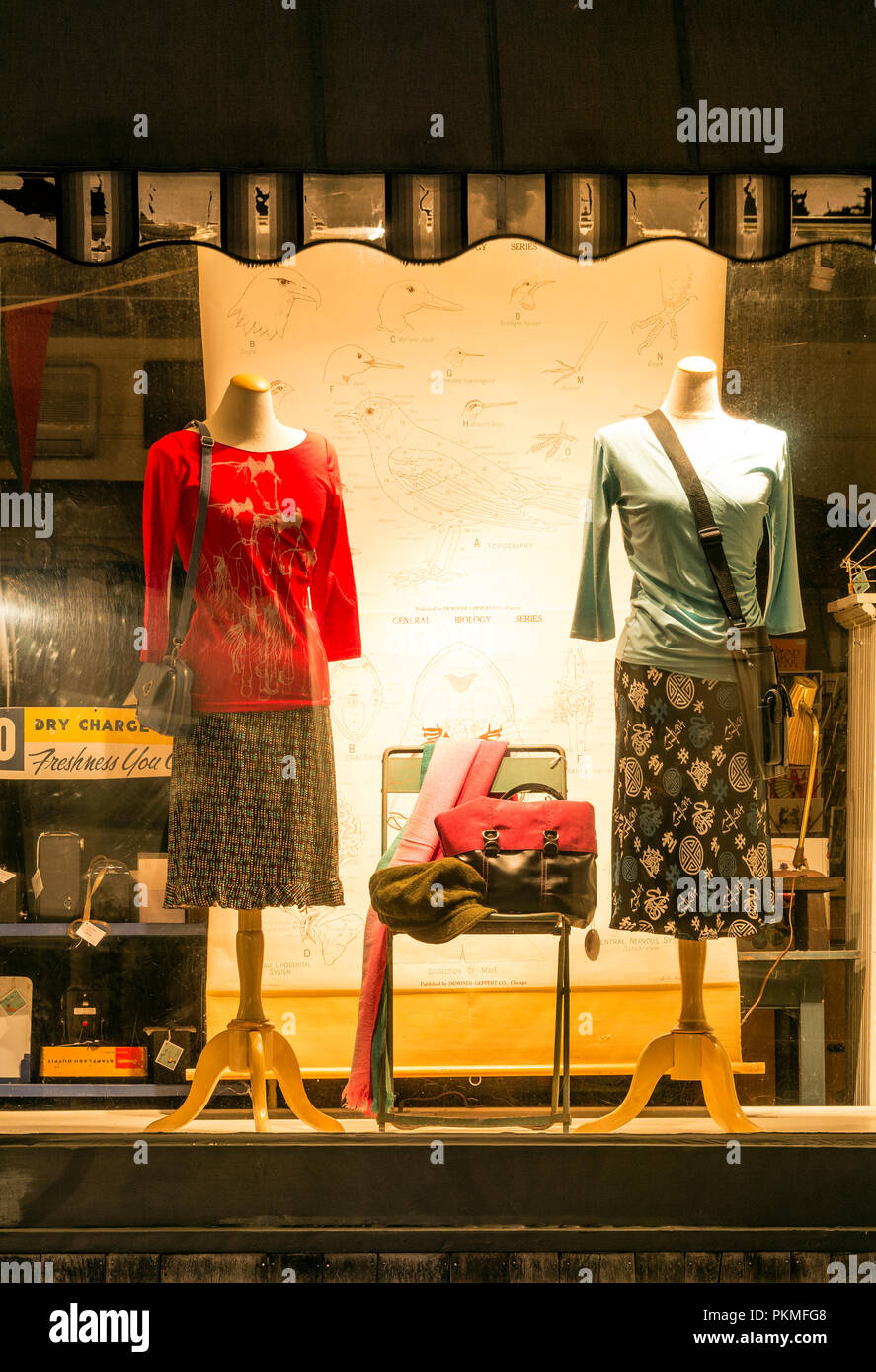 Negozio di abbigliamento window display. Foto Stock