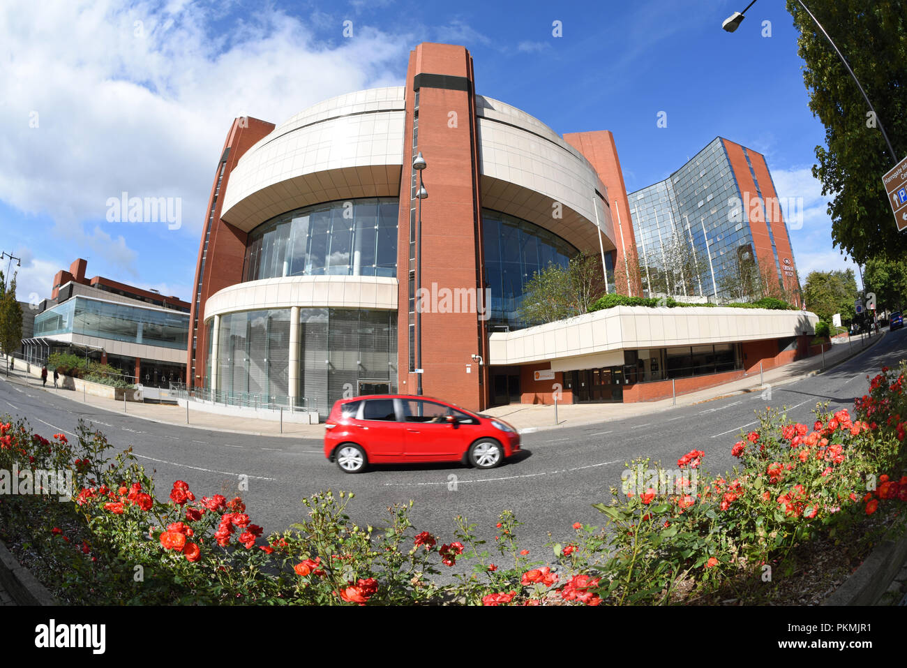 I letti di rose da harrogate conference center Yorkshire Regno Unito Foto Stock