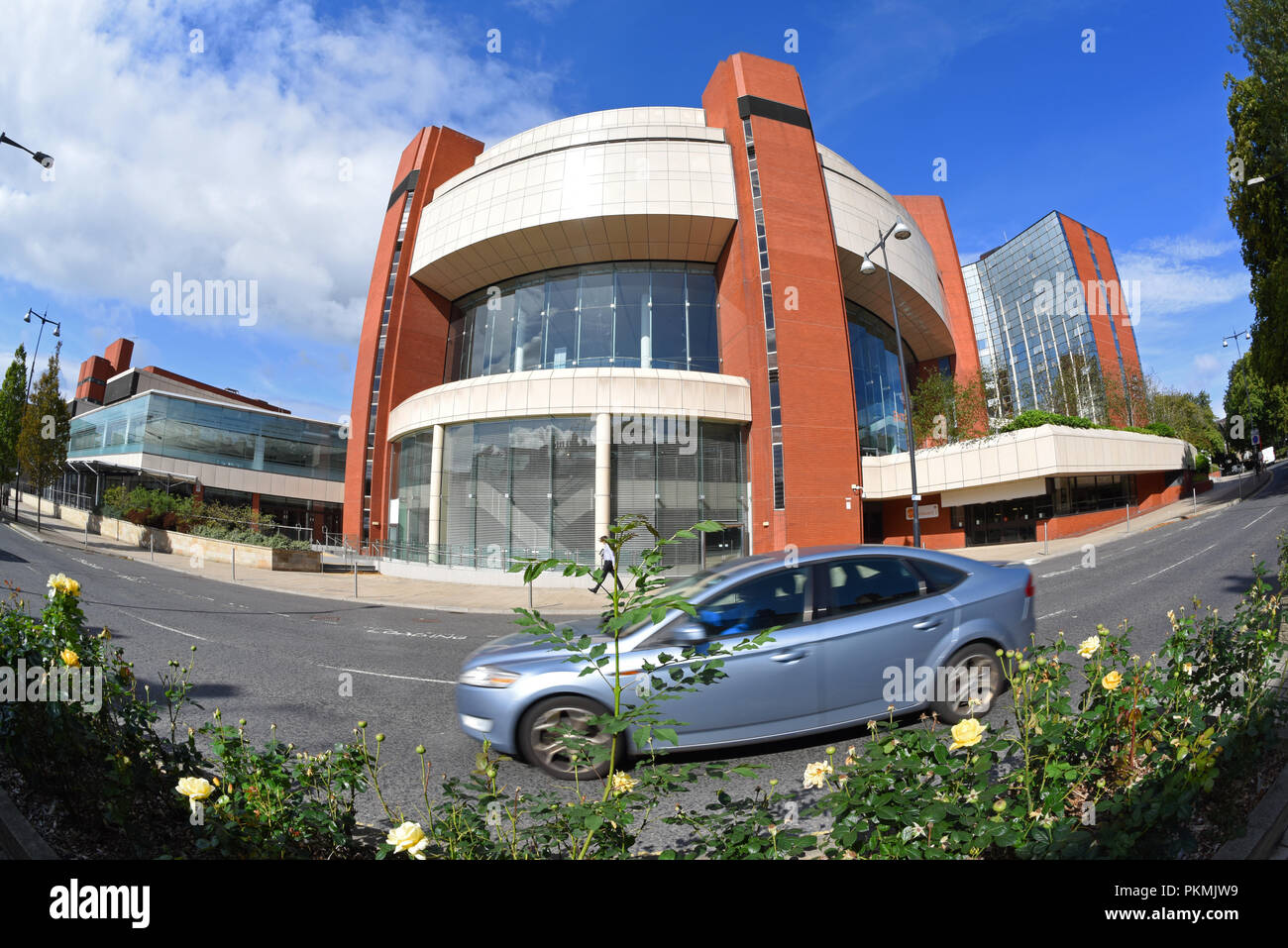 I letti di rose da harrogate conference center Yorkshire Regno Unito Foto Stock