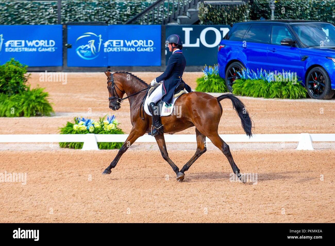 Lauren Kieffer Vermiculus di equitazione. Stati Uniti d'America. Eventing dressage. Il giorno 3. Giochi equestri mondiali. WEG 2018 Tryon. Carolina del Nord. Stati Uniti d'America. 13/09/2018. Foto Stock