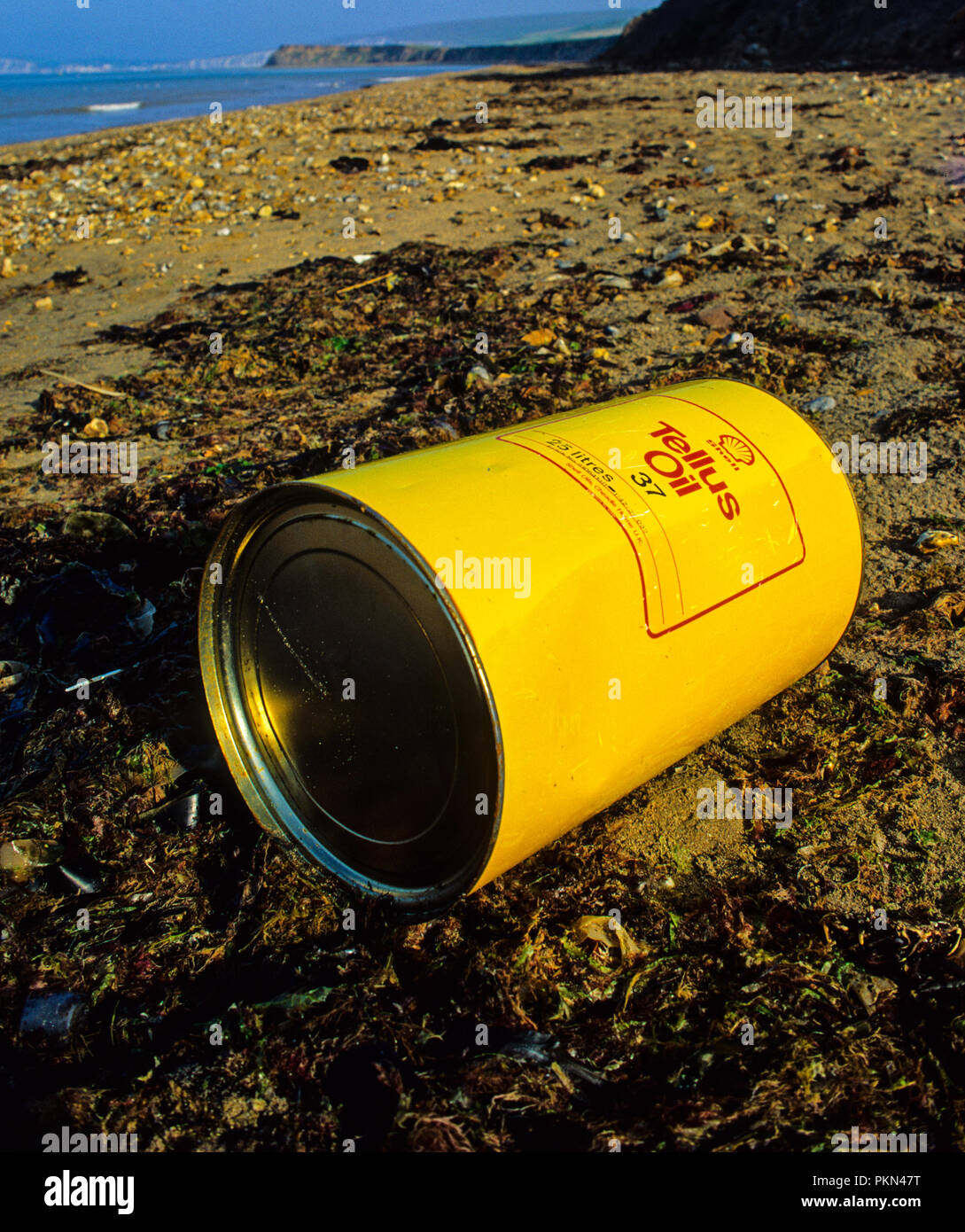 Olio giallo tamburo, Brook Beach, Isle of Wight, England, Regno Unito, GB. Foto Stock