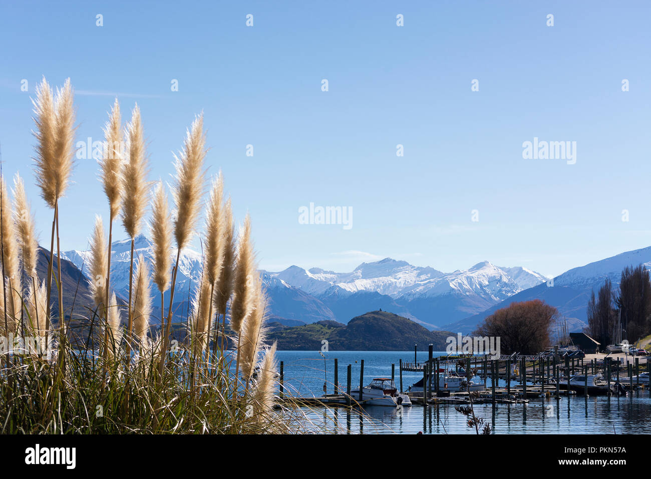 Bellissima vista sul pittoresco Lago Wanaka, Nuova Zelanda. Il lago Wanaka è un attraente destinazione turistica sull'Isola del Sud, buona per la ricreazione Foto Stock