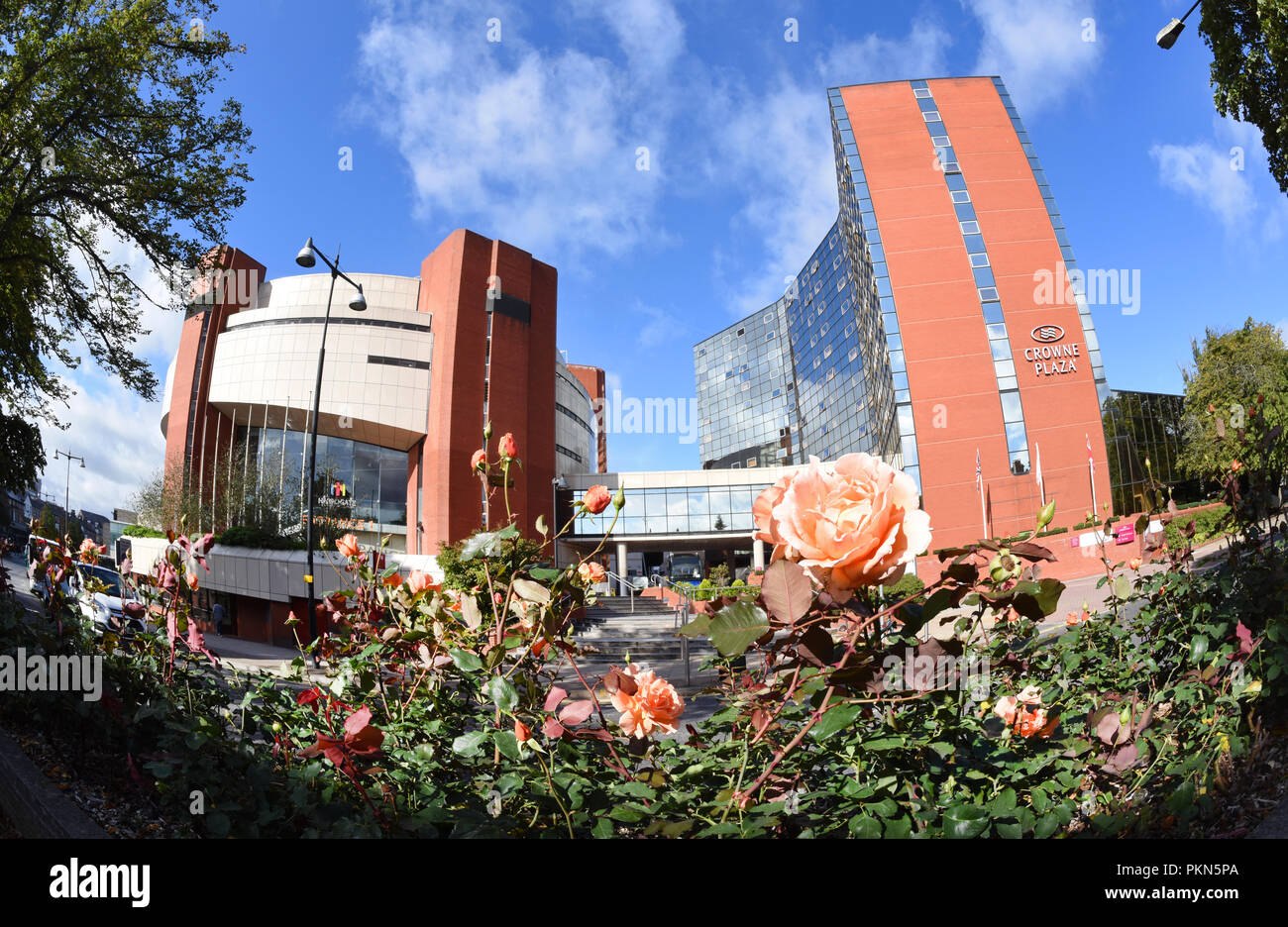 I letti di rose da harrogate conference center Yorkshire Regno Unito Foto Stock