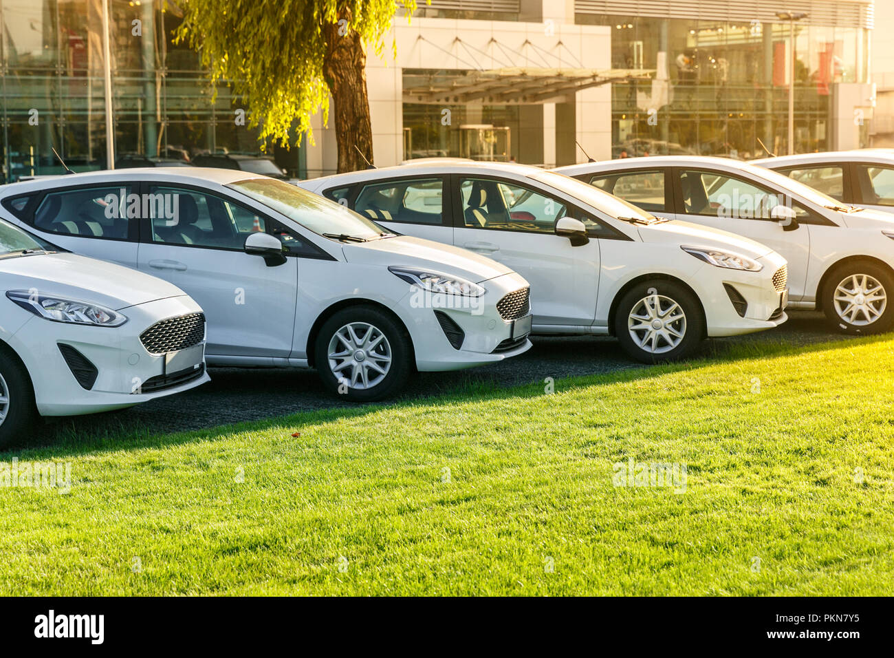 Fila di nuovo di zecca automobili bianco in stock presso la concessionaria auto. Invenduto automobili per la vendita. Foto Stock