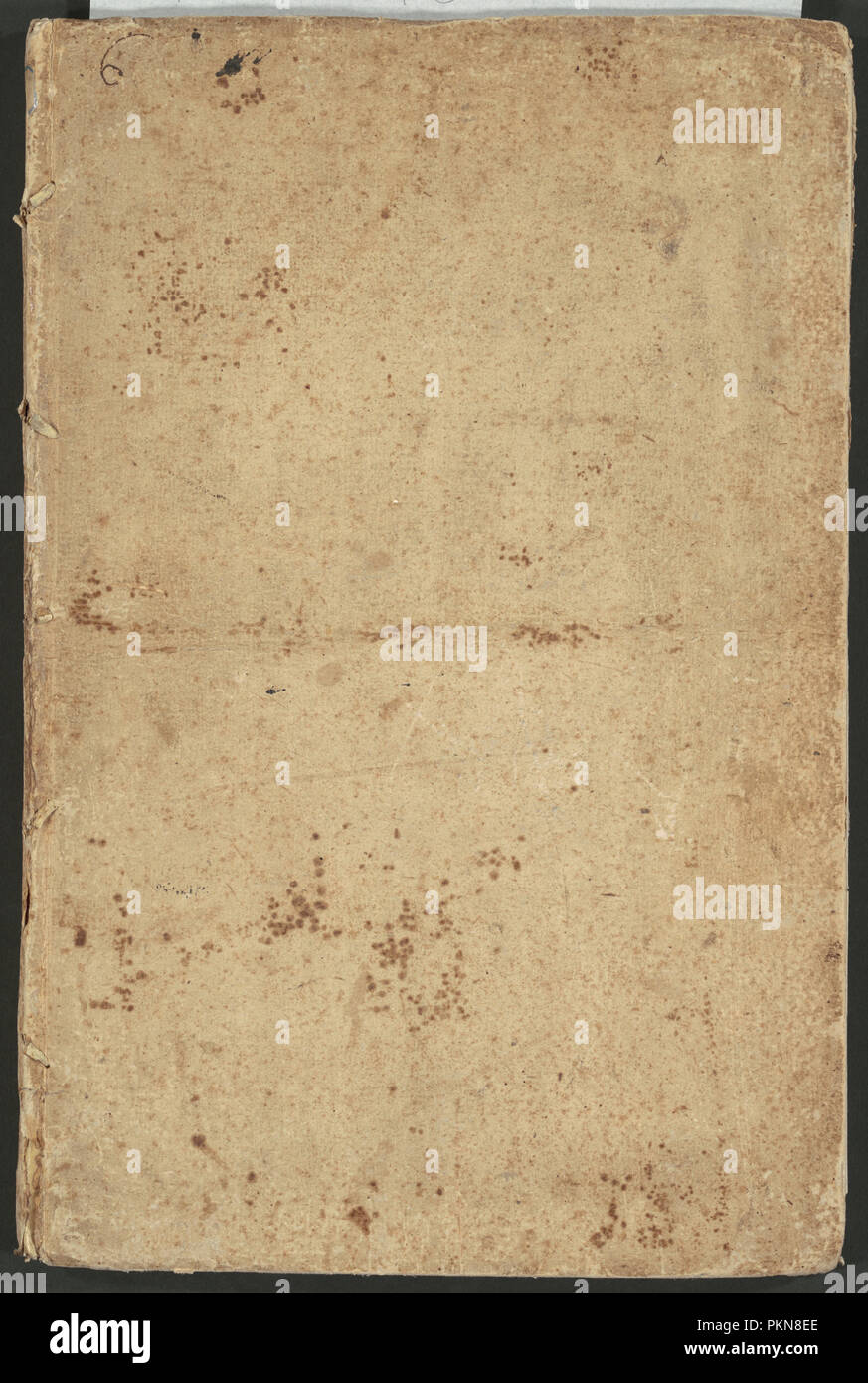 Ragguaglio della solenne comparsa, fatta in Roma gli otto di Gennaio MDCLXXXVII dallâ Ill. Conte di Castelmaine ambasciadore straordinario della Sagra Real Maestà di Giacomo II, all'udienza di Papa Innocenzo XI. Data: 1687. Dimensioni: libro: 44,8 × 29,6 × 2 cm (17 5/8 × 11 5/8 × 13/16 in.). Medium: Volume rilegato con 17 illustrazioni incise compresi 1 frontespizio, 1, iniziale e 15 piastre (3 fold-outs di cui 1 a doppia diffusione) su cui la carta. Museo: National Gallery of Art di Washington DC. Autore: Arnold von Westerhout, dopo Giovanni Battista Lenardi e John Michael Wright (autore). Foto Stock