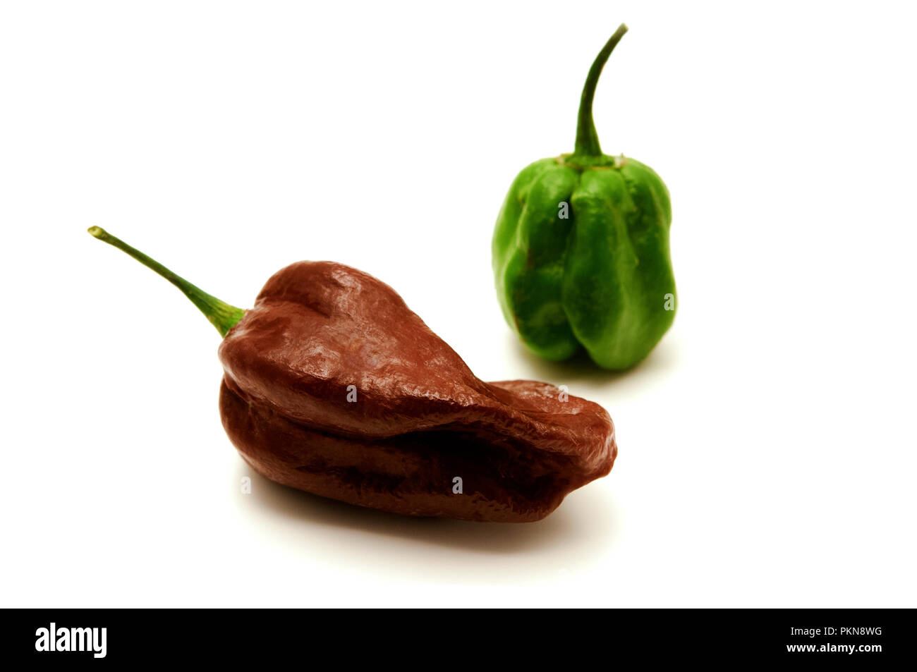 Nero e verde habanero su un backgrond bianco Foto Stock
